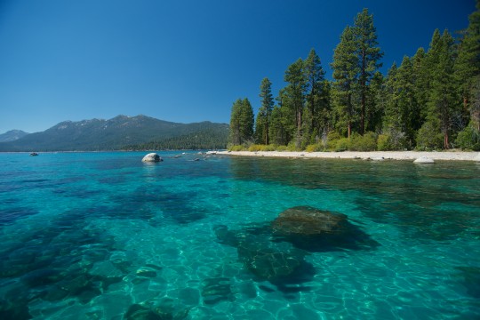 Looking South, Sugar Pine Point, Lake Tahoe